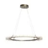 Anemone Circular LED Pendant -HomeNest Store Anemone Circular LED Pendant