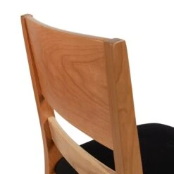 Burke Modern Chair -HomeNest Store Burke Modern Dining Chair with Black Seat 4