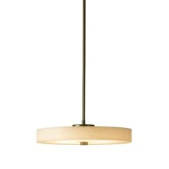 Disq Pendant -HomeNest Store Disq Pendant 1