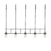 Erlenmeyer 5-Light Pendant -HomeNest Store Erlenmeyer 5 Light Pendant