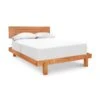 Loft Bed -HomeNest Store Loft Bed
