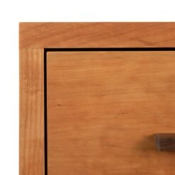 Modern American 1-Drawer Enclosed Shelf Nightstand -HomeNest Store Modern American 1 Drawer Enclosed Shelf Nightstand 4
