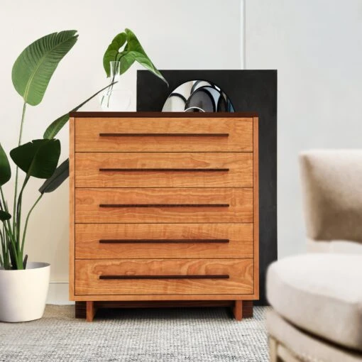 Modern American 5-Drawer Chest - Image 4